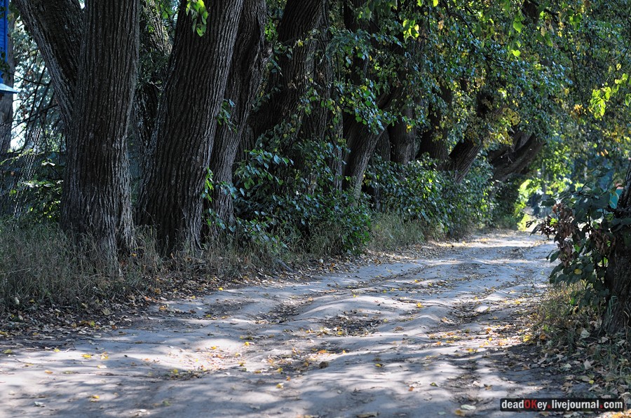 усадьба Опарино