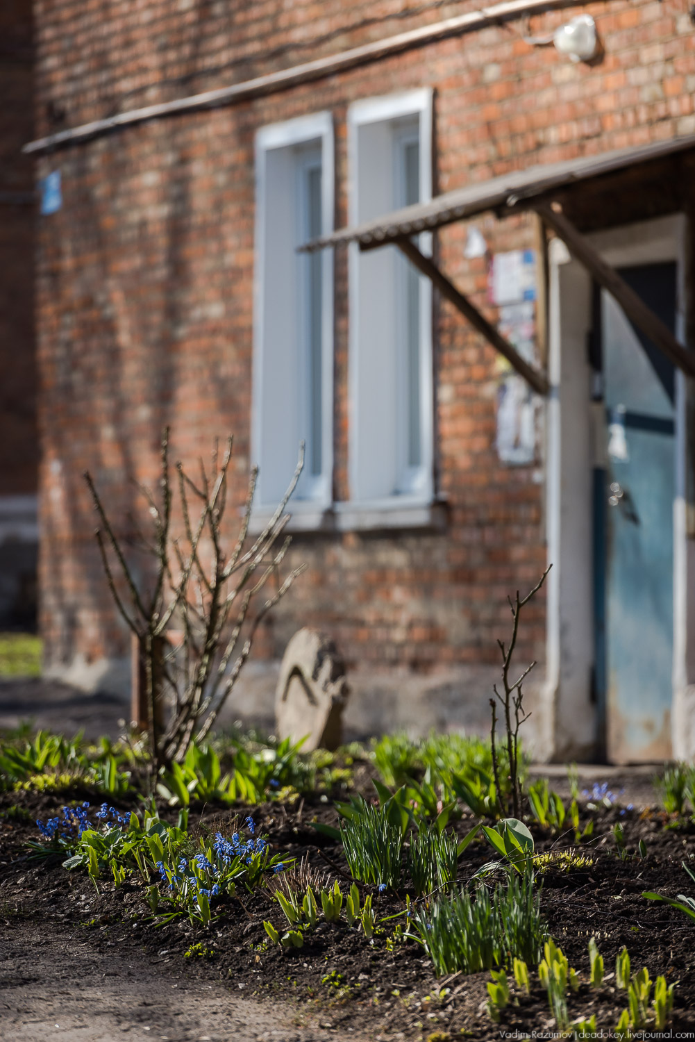 Богородицк, сады горожан