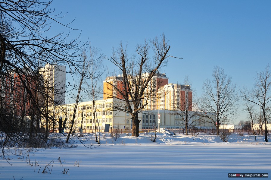 усадьба Архангельское-Тюриково