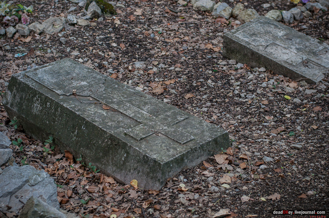 поселок Кореиз, Крым