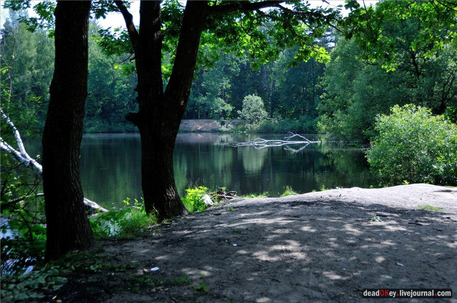 усадьба Алмазово