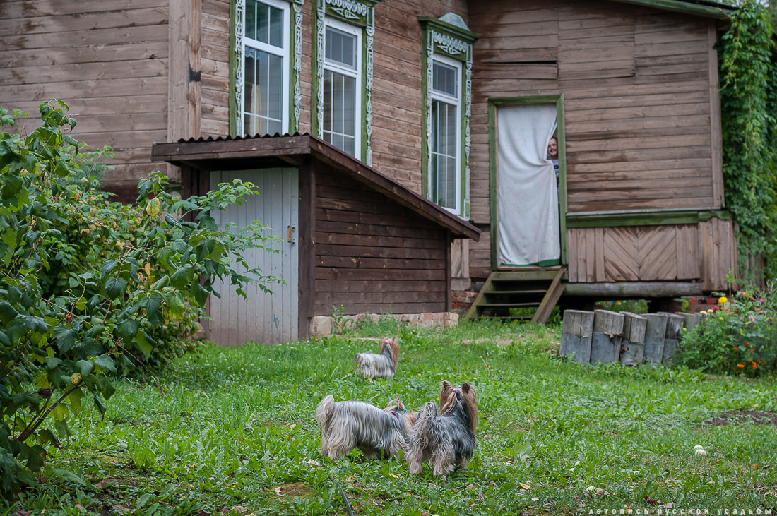 Меховицы, дом фабриканта Карпова, Чистые Росы, продается усадьба