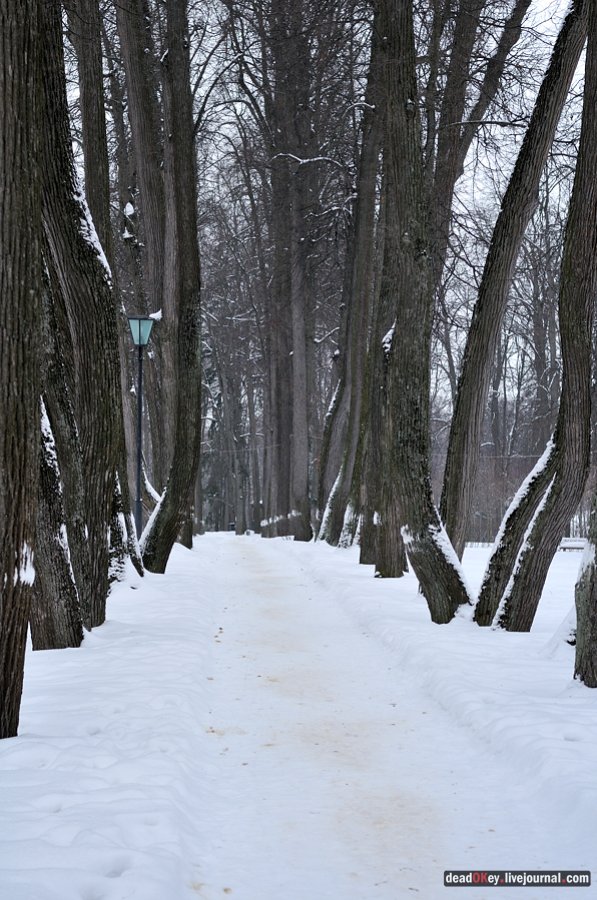 усадьба Остафьево