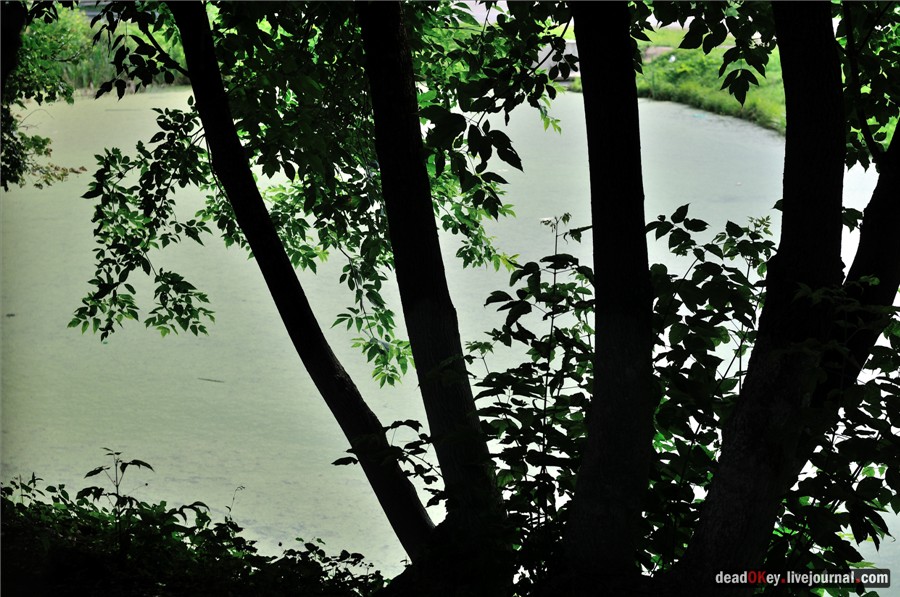 усадьба Щапово