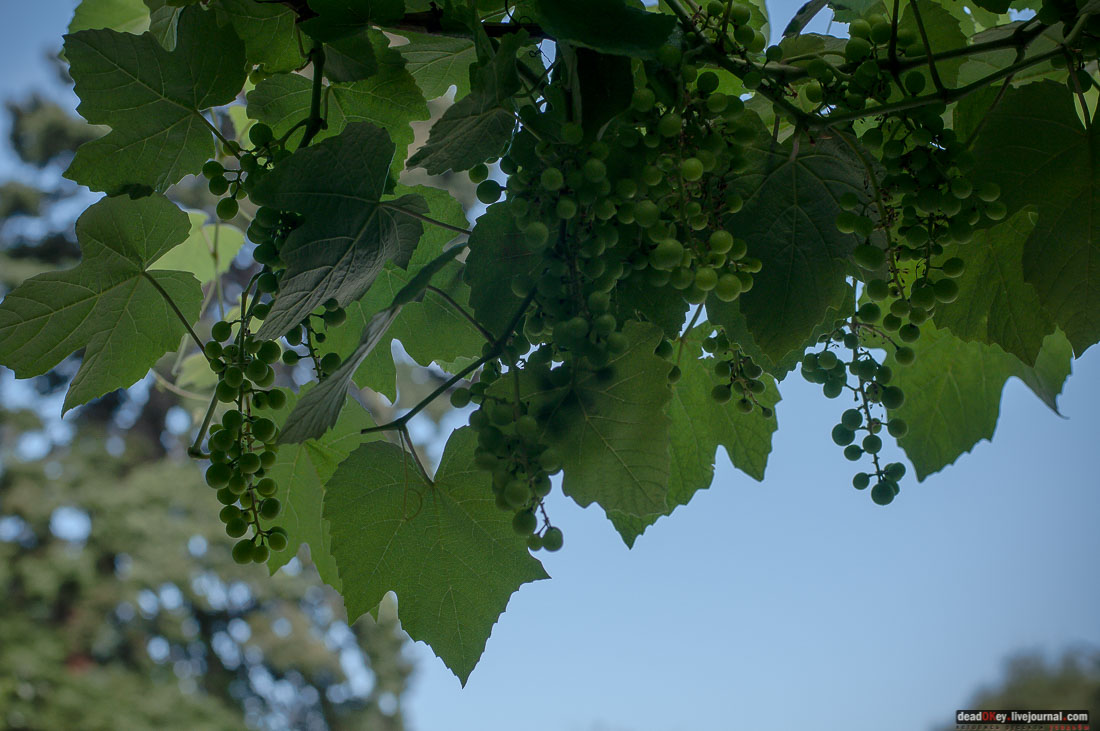 Юсуповский дворец в Кореизе, Крым