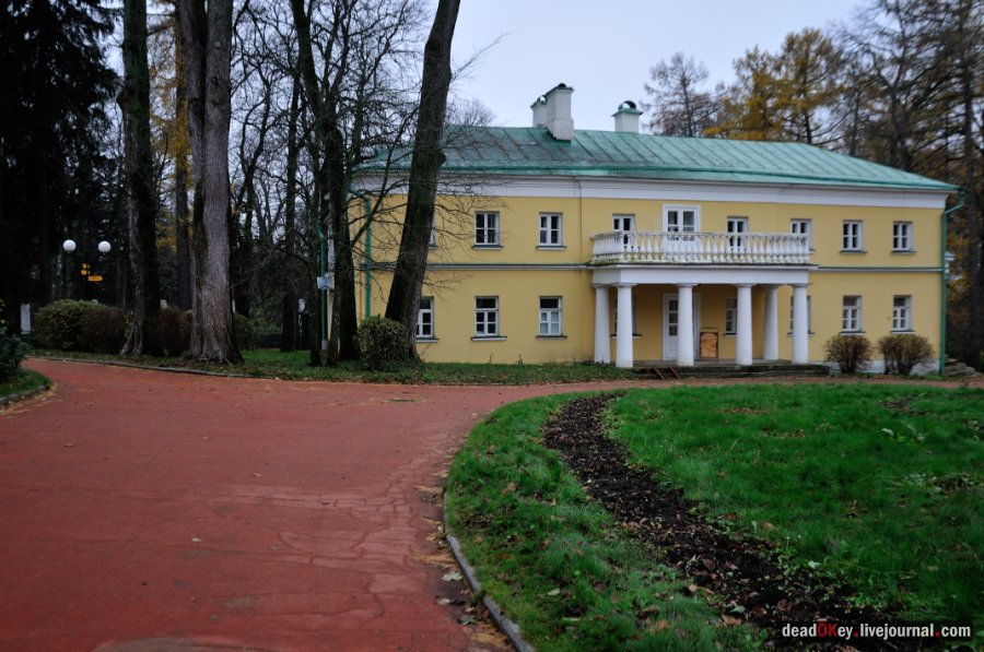 усадьба Горки Ленинские