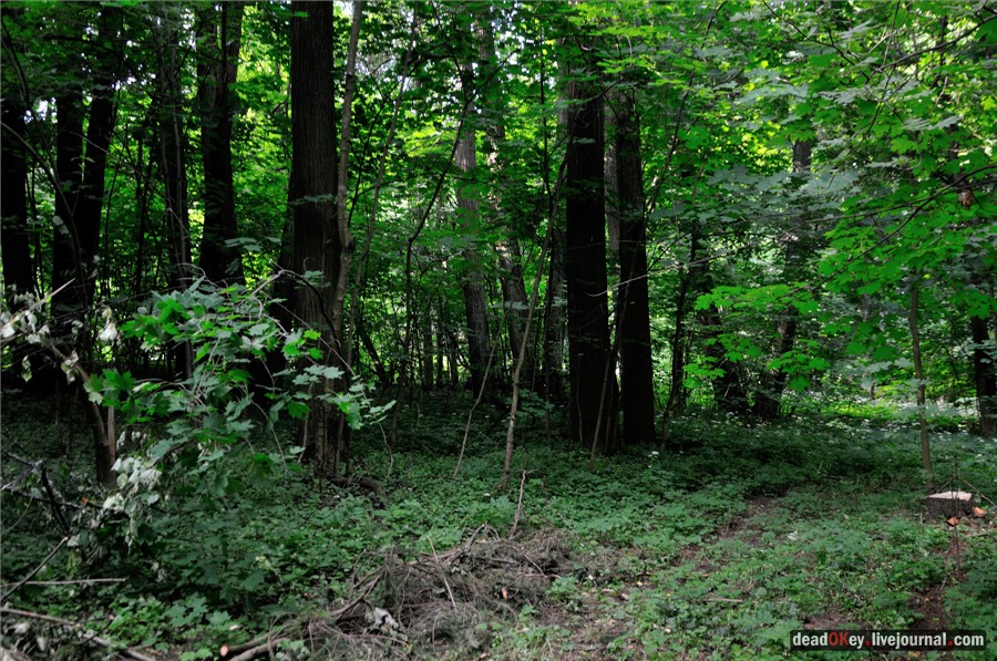 усадьба Дубки