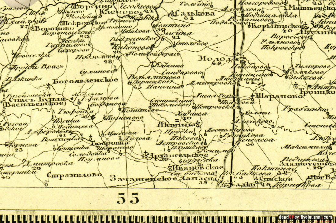 усадьба Васильевское-Скурыгино