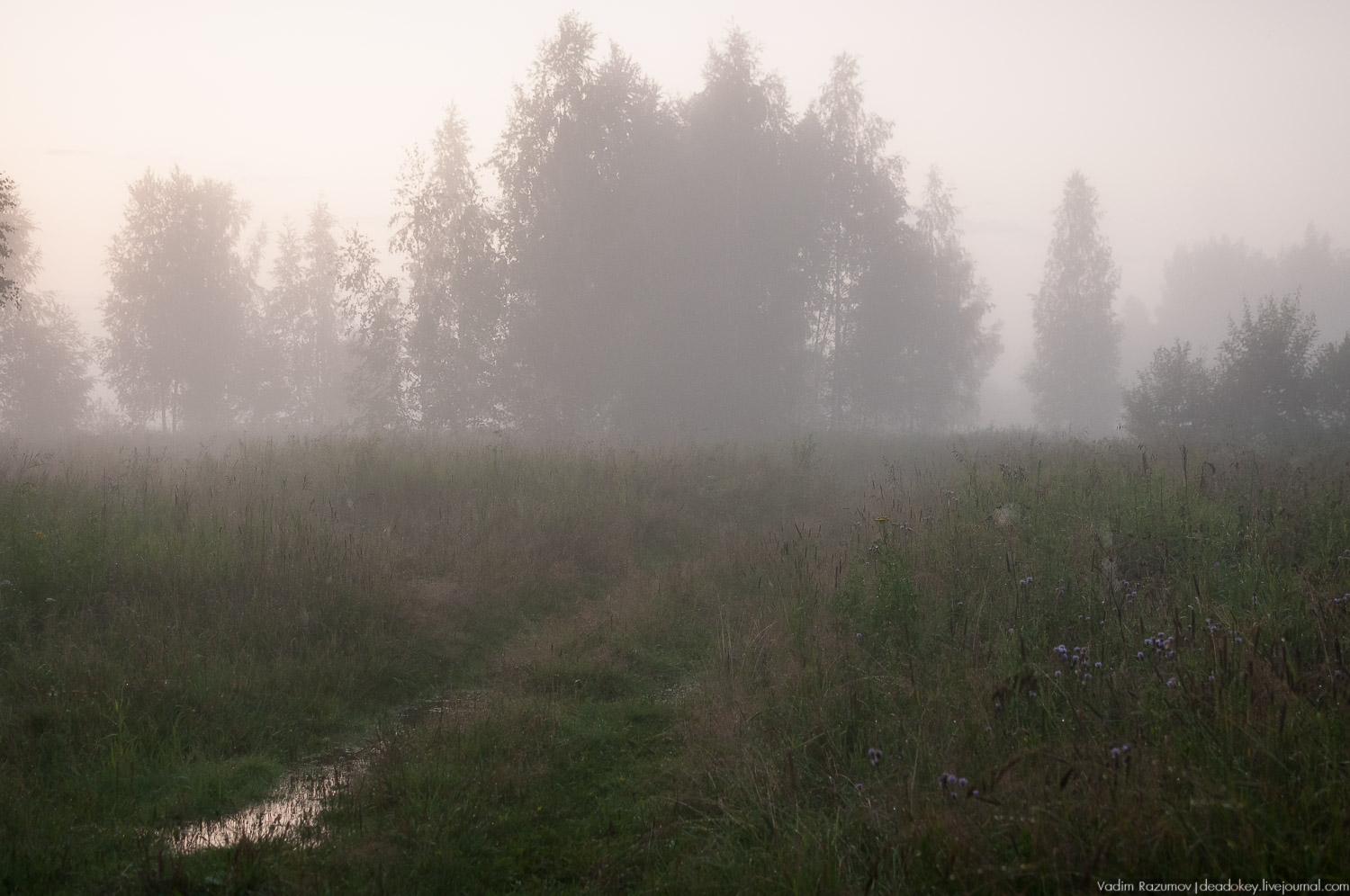Закат, туман, Стромынь