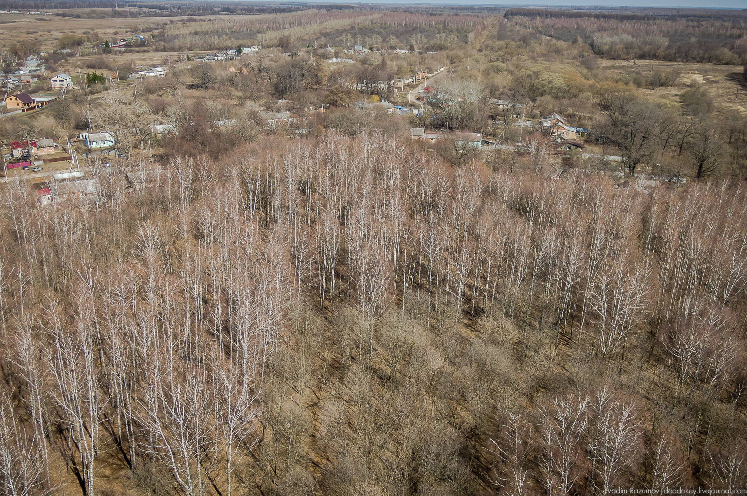 Богородицк, Церерина роща