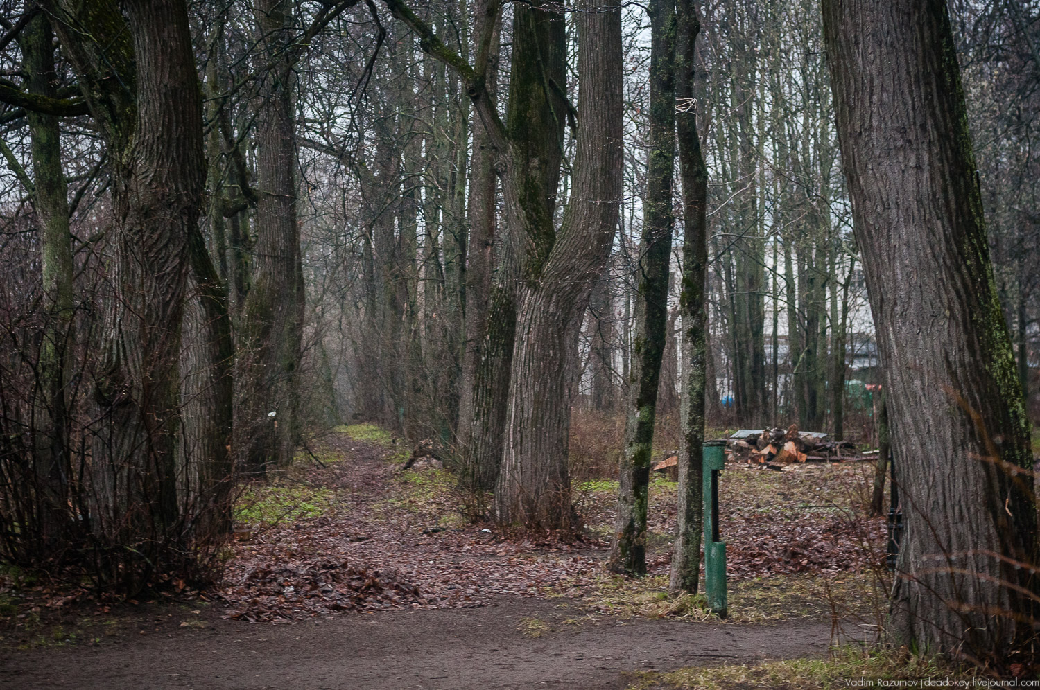 усадьба Петрово (Дурнево, Петрово-Дальнее), Красногорский район, Московская область