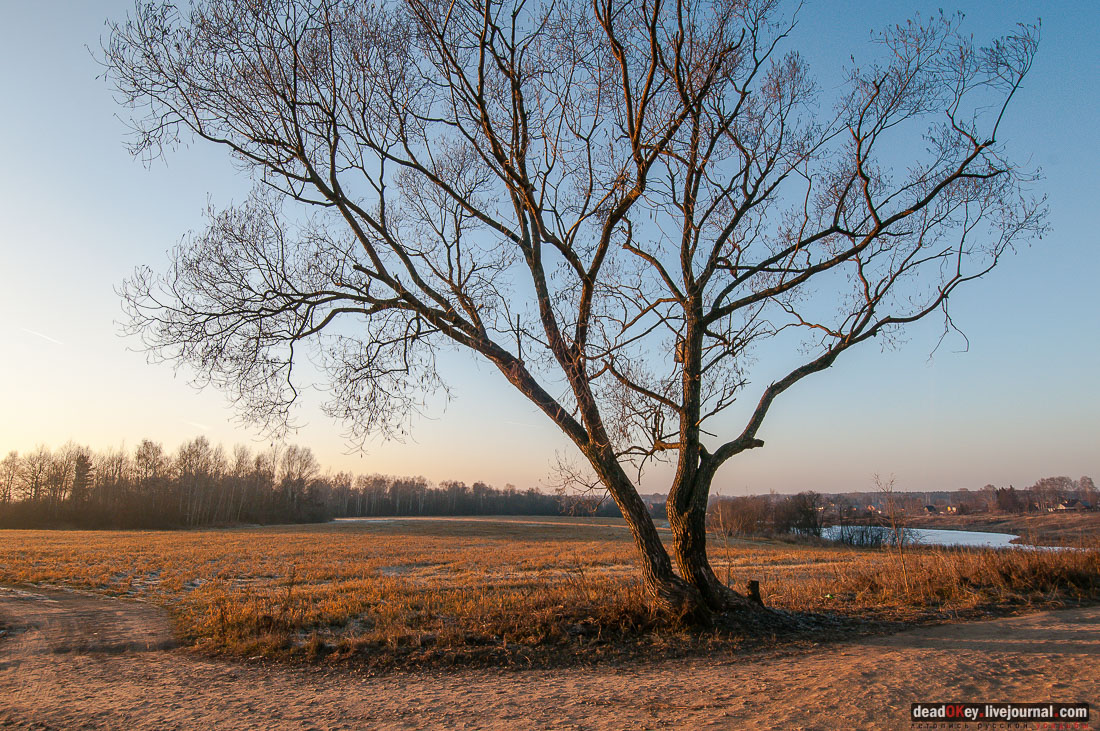 Усадьба Софрино