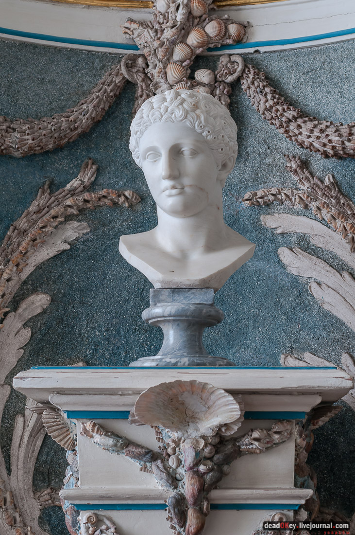 усадьба Кусково библиотека