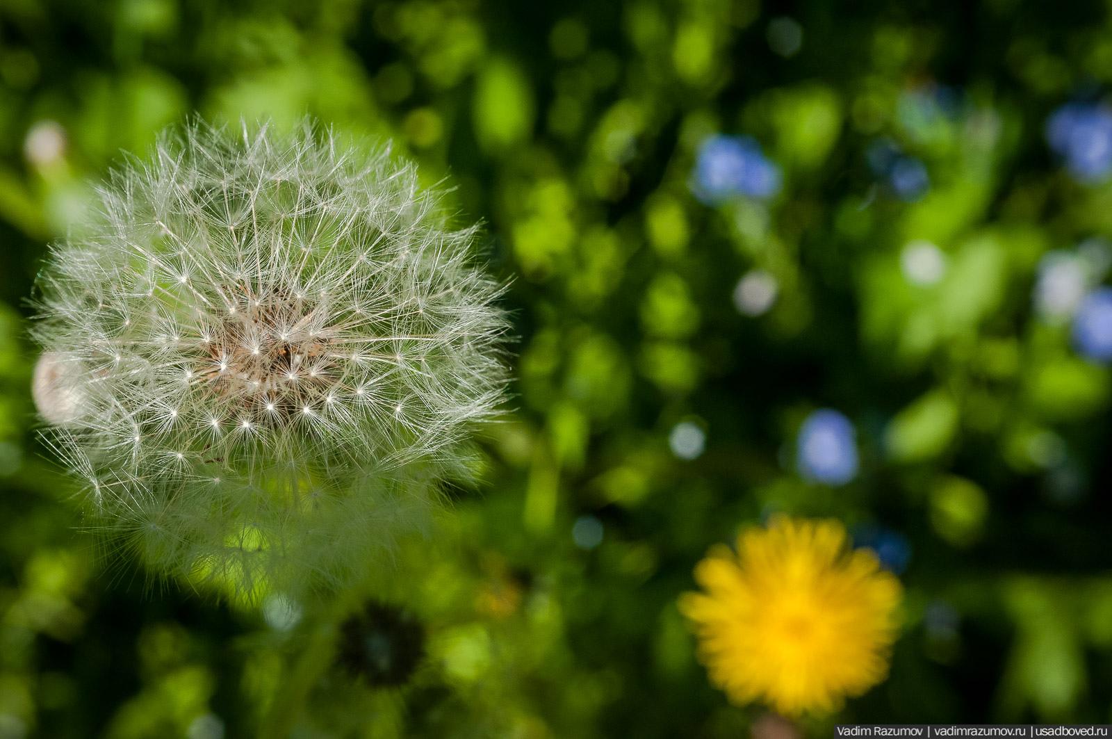 усадьба Дворяниново, Андрей Тимофеевич Болотов, Тульская область