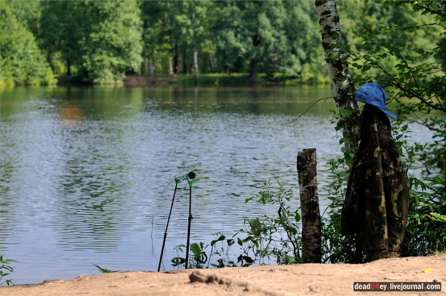 усадьба Алмазово