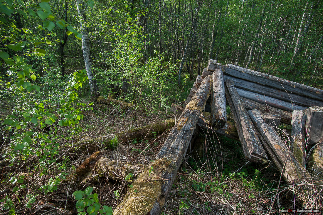 заброшенная деревня Сяпчозеро, Карелия, Кондопожский район