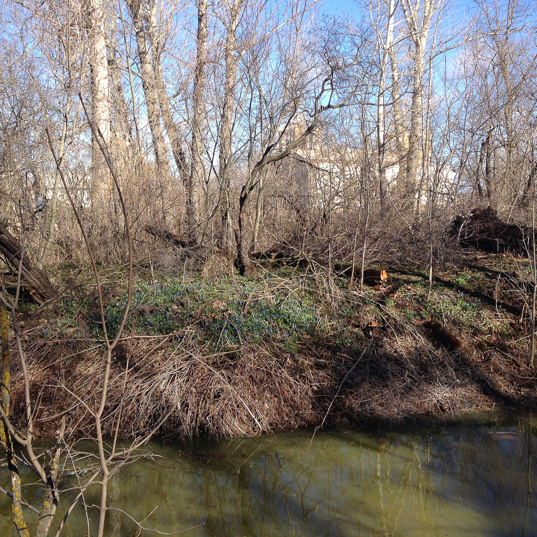 усадьба Рихтер