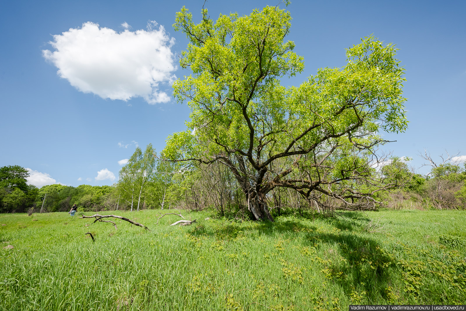 Старое Глазово, могила Василия Баженова, 2021 год
