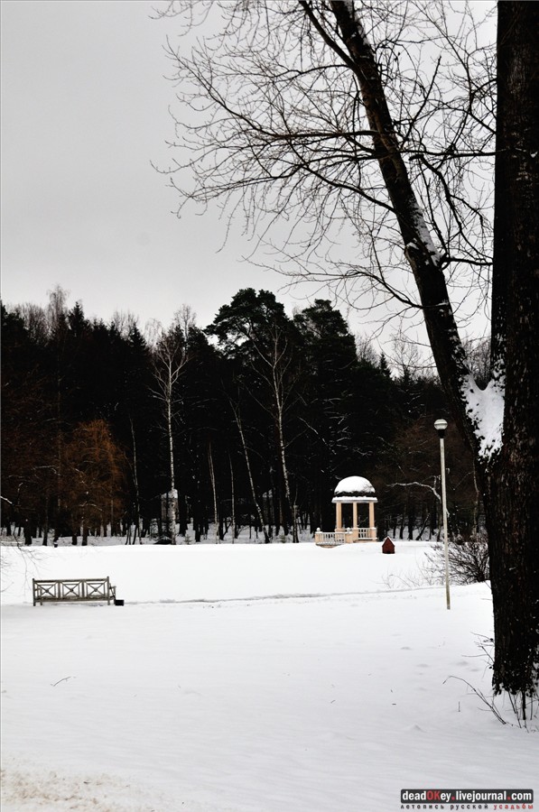 усадьба Введенское