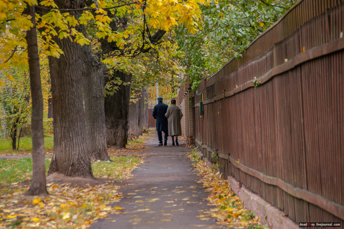 кооперативный поселок Сокол, поселок художников, Москва