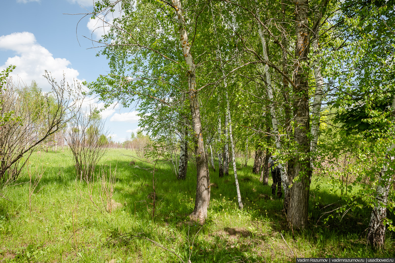 Старое Глазово, могила Василия Баженова, 2021 год