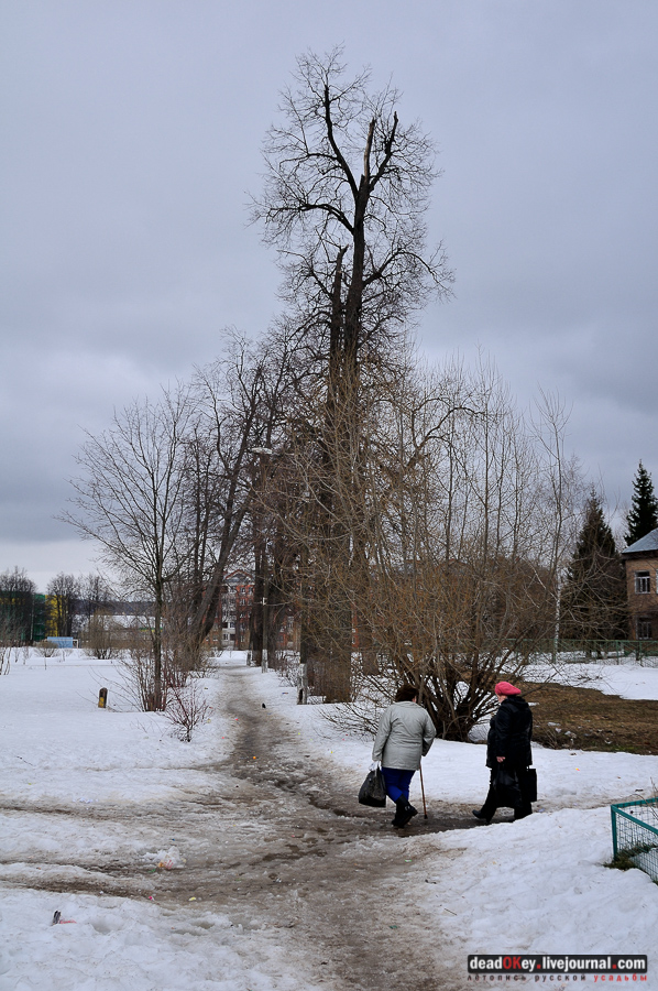 усадьба Сынково