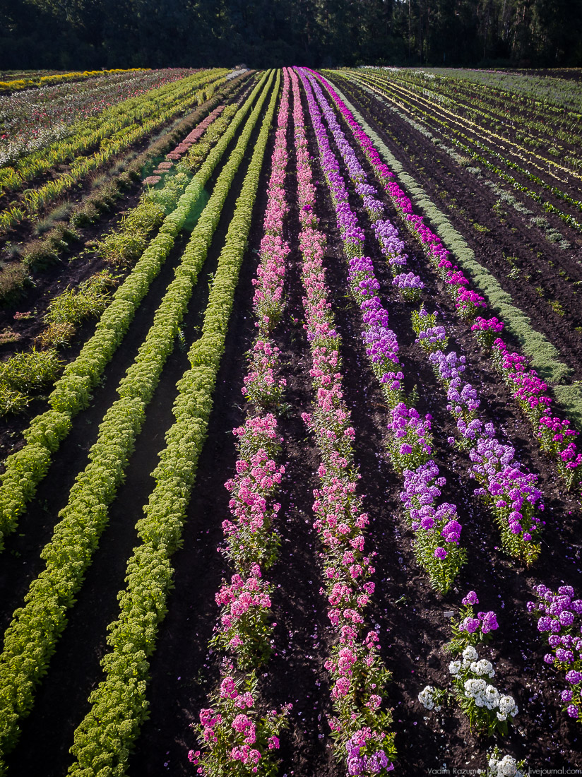 усадьба Барсуково