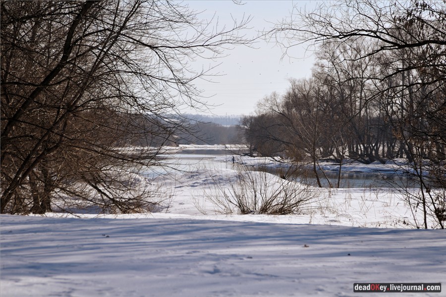 усадьба Кривякино