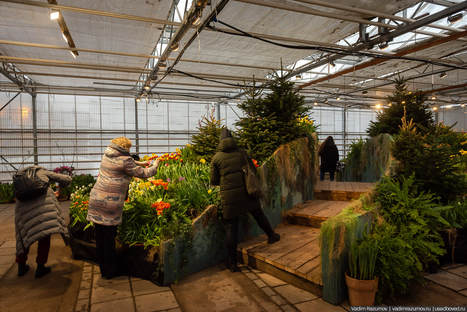 Аптекарский огород, Репетиция весны 2021, цветы, 8 Марта