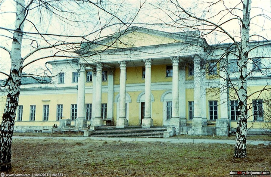 усадьба Строганова Дача