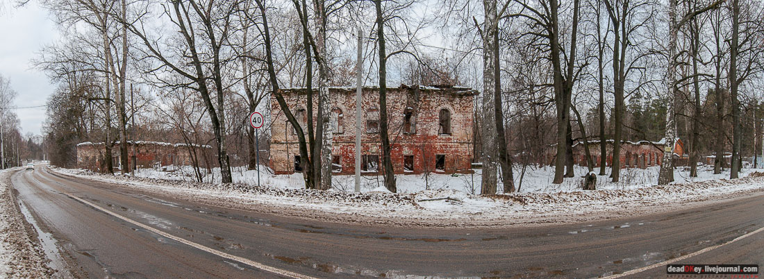 усадьба Гребнево, больничный комплекс