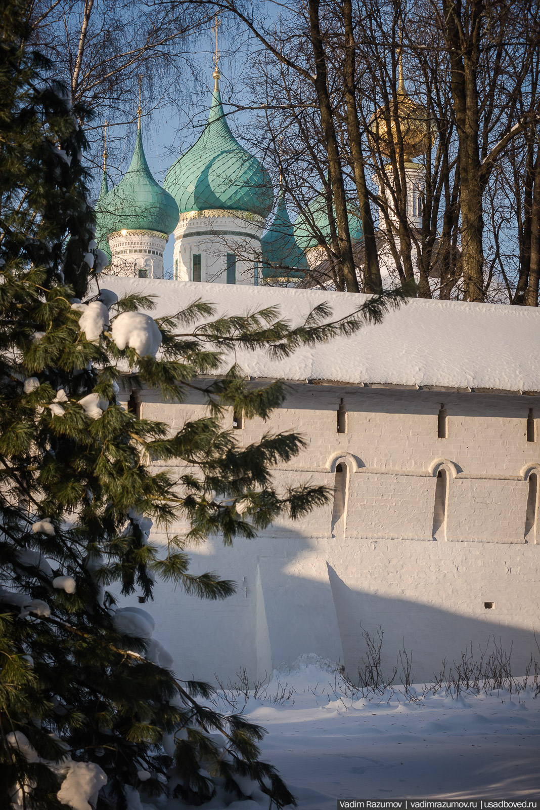 Толгский монастырь, Ярославль