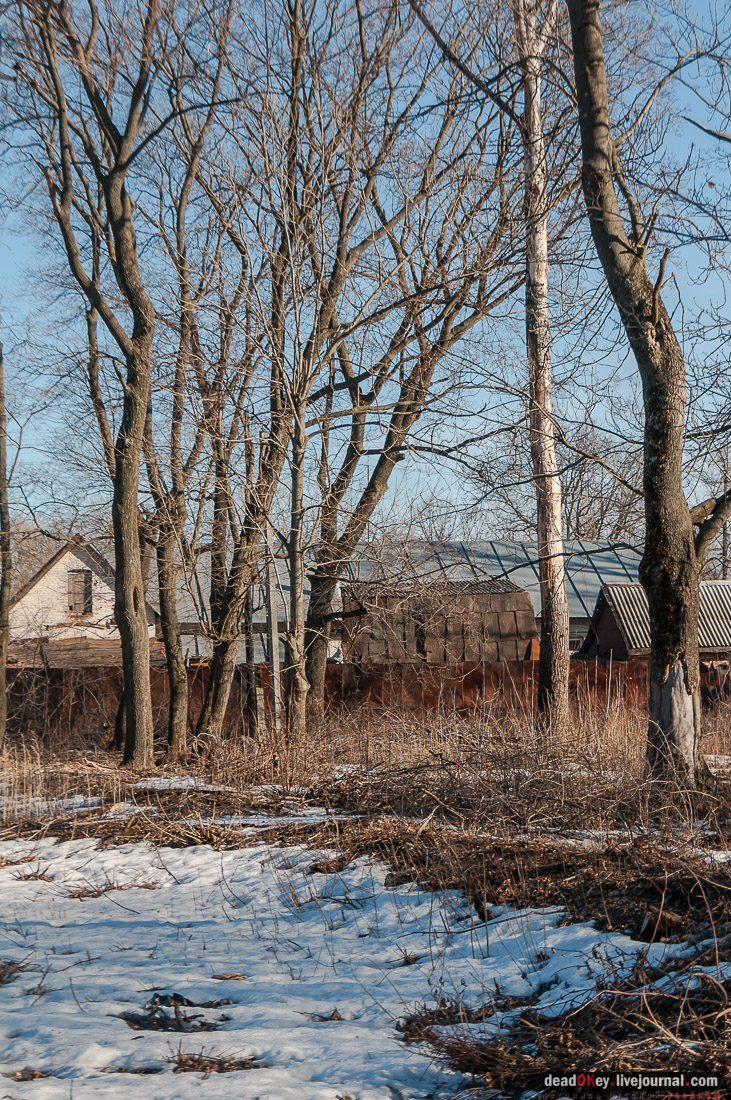 усадьба Трубетчино, Липецкая область