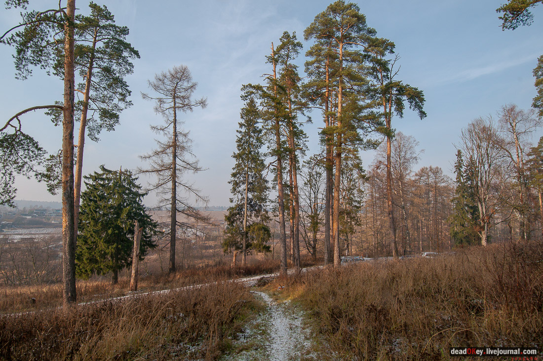 Усадьба Глебово-Брусилово