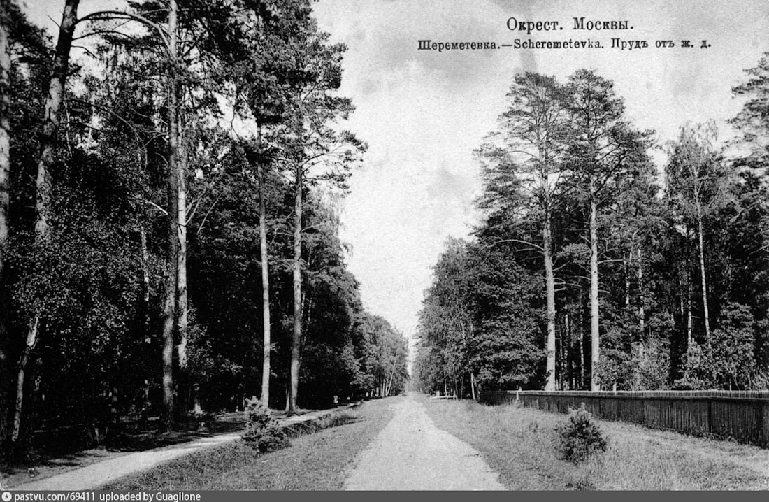 Вокруг Кусково