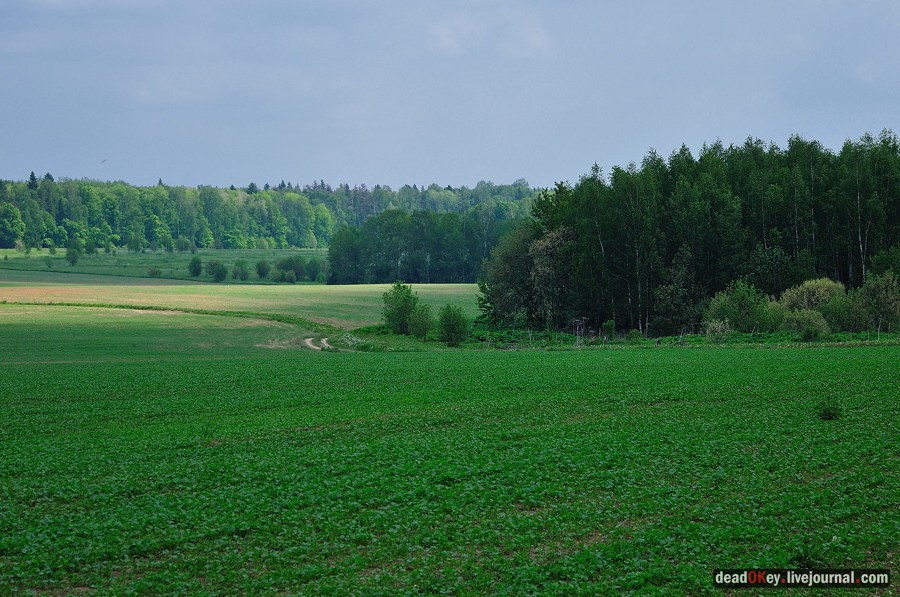 усадьба Спасское