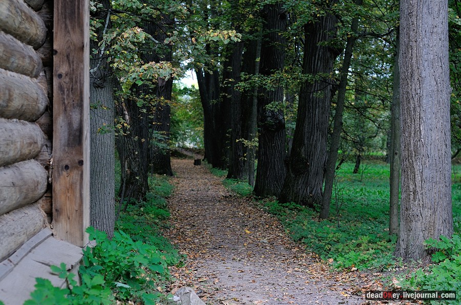 усадьба Ясная Поляна