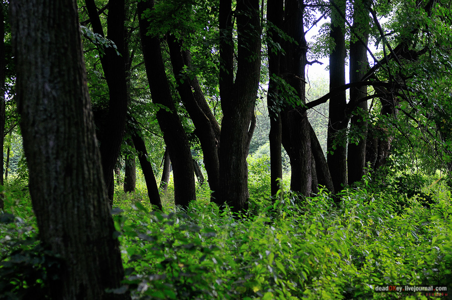 усадьба Матыра