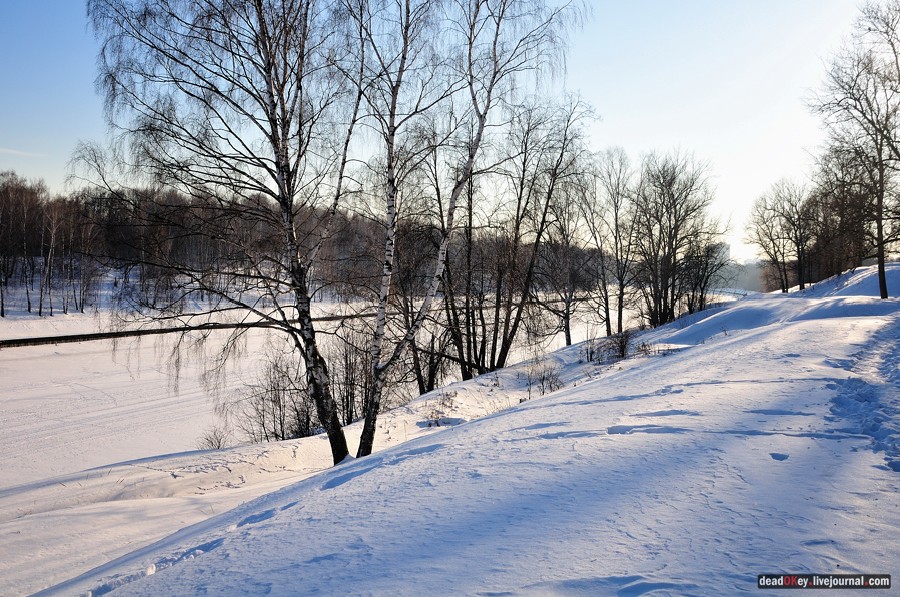 усадьба Старбеево