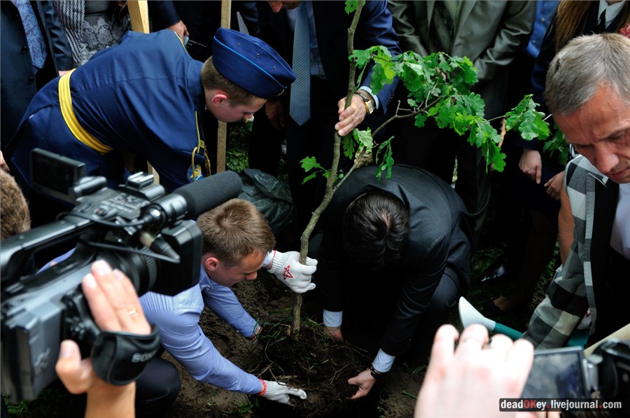 усадьба Наташино, Наташинские пруды