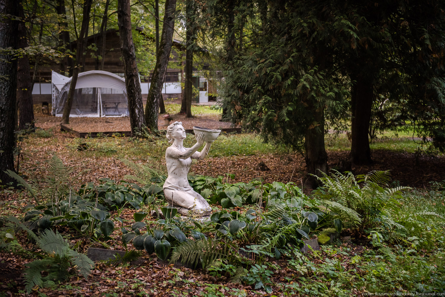 Алексеевская роща, путевой дворец Алексея Михайловича, Лосиный остров, музей охоты