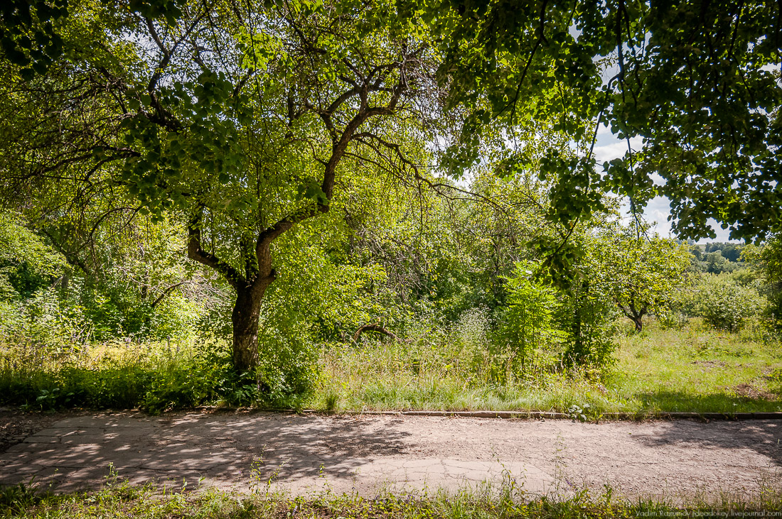 усадьба Стегаловка Ведровых