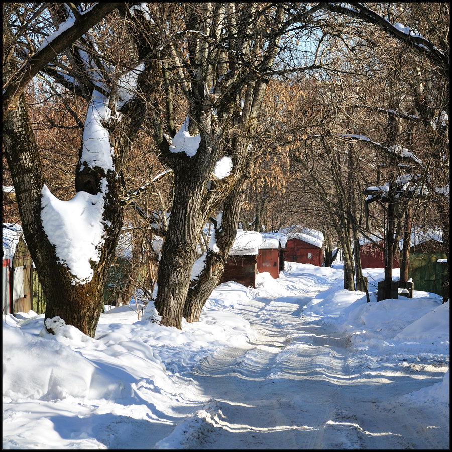 Парковые аллеи в русских усадьбах