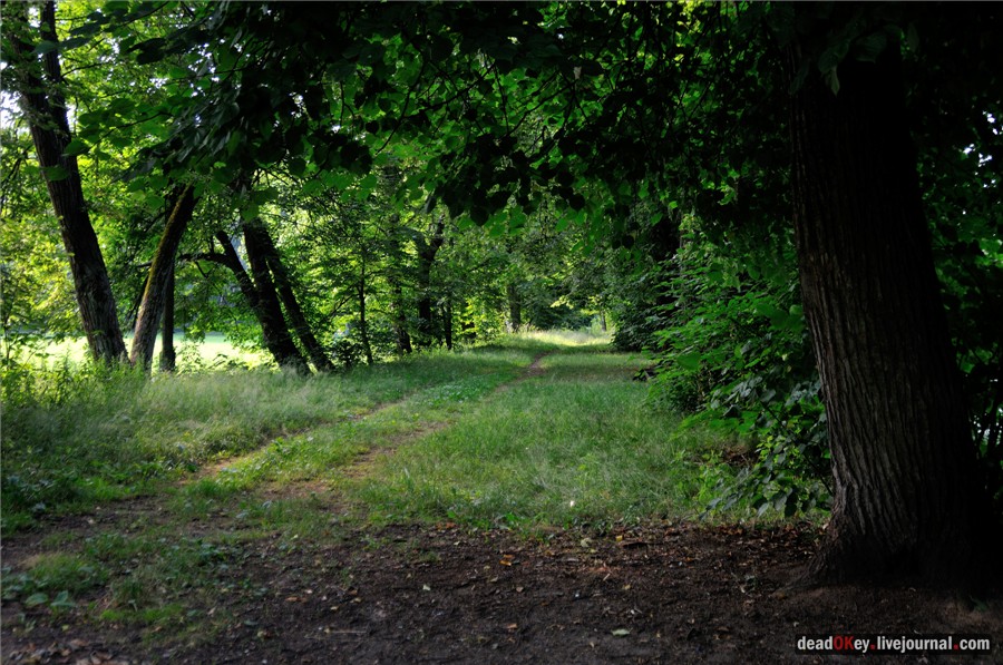 усадьба Долгое Ледово