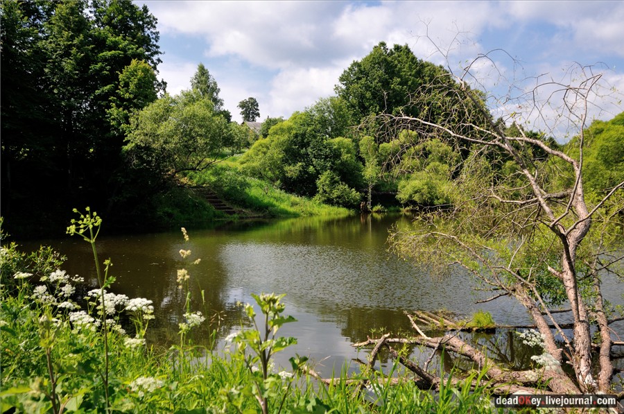 усадьба Петровское (Большепетровское)