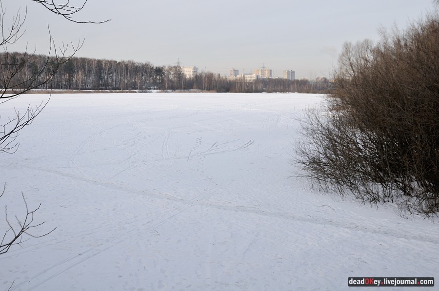 Косино