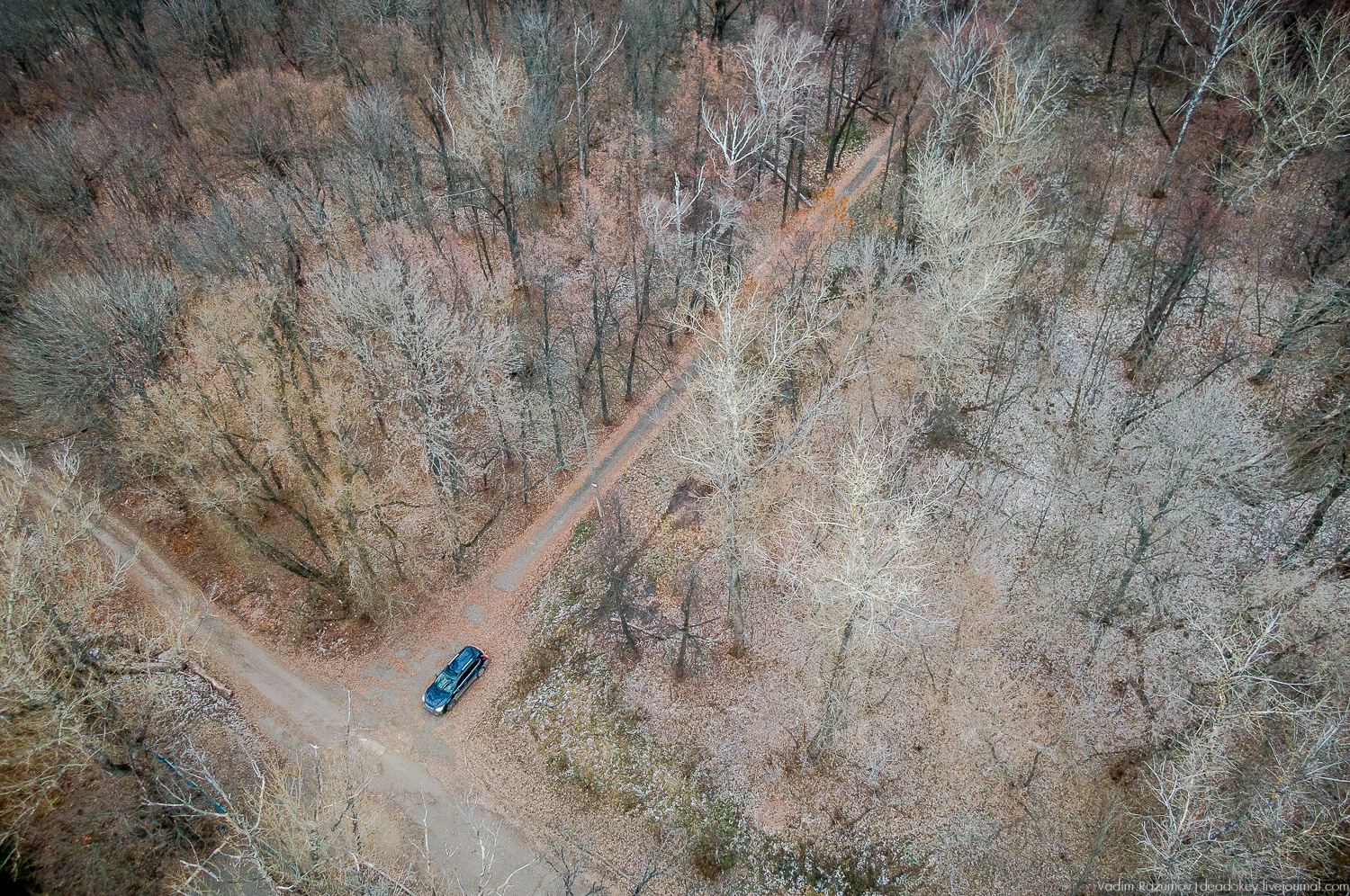 усадьба Бобрики Бобринских, Донской, Тульская область, музей