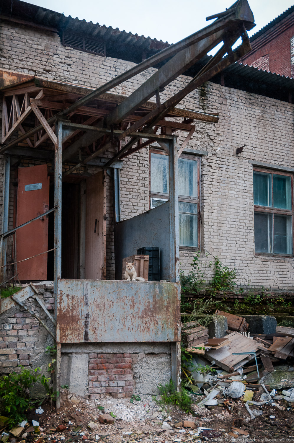 Фарфоровый завод, Вербилки