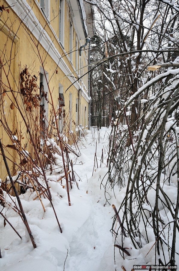 усадьба Дугино