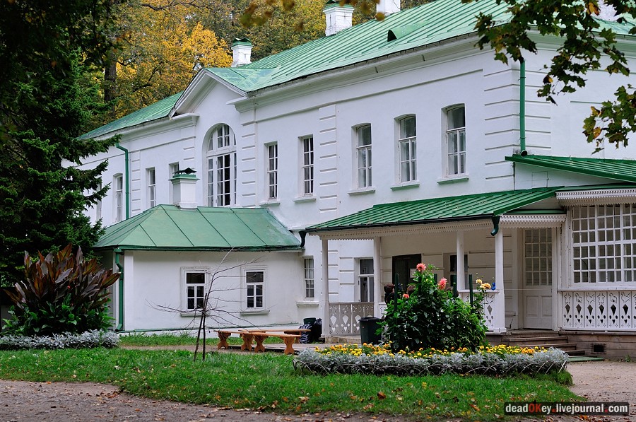 усадьба Ясная Поляна